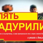 Фото №62 СПИЛ КОРЧЕВАНИЕ ВЫРАВНИВАНИЕ ПЛАНИРОВКА. Как дурят народ.