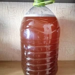 Фото №5 Чайный Гриб Комбуча Фанго