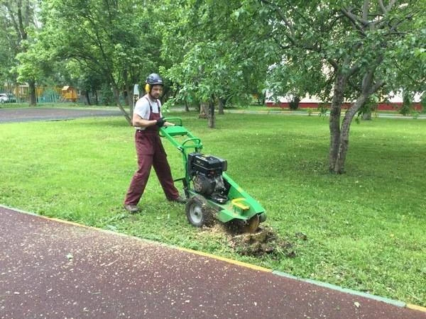 Фото Удаление, дробление пней пнедробилкой. Ивантеевка.