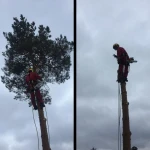 Фото №4 Покос травы
