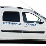 Ветеринар