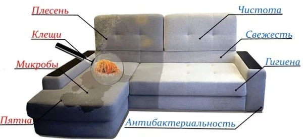 Фото Химчистка мебели на дому