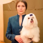 Фото №5 Хендлер, подготовка собак к выставкам 
