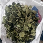 Фото №2 Листья шиповника. Цена за 100 грамм.