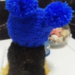 Фото №3 Вязаные шапочки для Ваших любимцев.