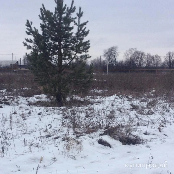 Фото Участок ИЖС Нижегородская обл., д. Рыльково Сосновский муниципальный округ