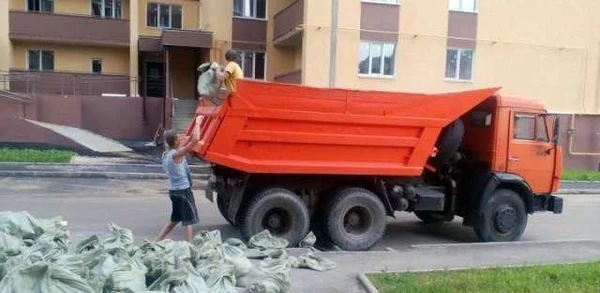 Фото Вывоз мусора