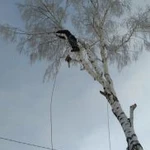 Фото №3 Все виды ремонта