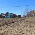 Фото №39 СПИЛ КОРЧЕВАНИЕ ВЫРАВНИВАНИЕ ПЛАНИРОВКА Луга и район. 