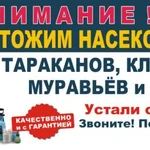 Травим тараканов,клопов,блох,муравьев