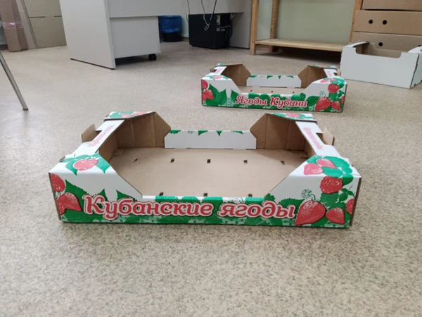 Фото Лоток клубничный