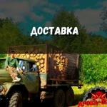 Фото №3 Дрова сухие