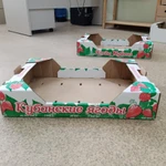 фото Лоток клубничный