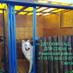 Фото №2 Kindergarten_for_dogs 