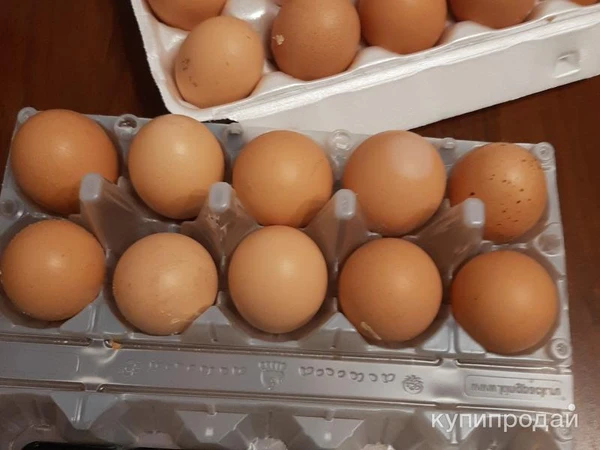 Фото Продам яйцо куронное, всегда свежее