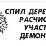 Расчистка участков/Спил дер-в.В любое время года