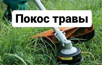 Фото Покос травы триммером