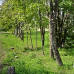 Фото №6 здание 300кв.м+150кв.м склады+20сот. земли