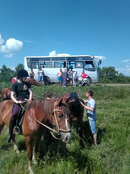 Фото Услуги по перевозке пассажиров 