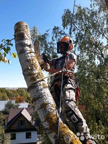 Фото Покос травы, спил, благоустройство.