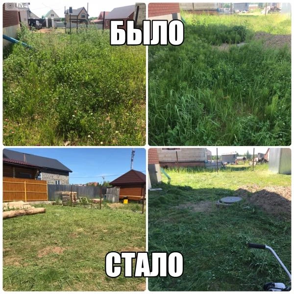 Фото Покос травы триммером, вырубка деревьев. Уфа