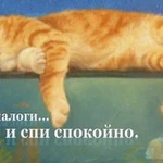 Фото №2 Налоговые декларации