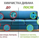 Фото №2 Уничтожение клещей-сапрофитов,клопов