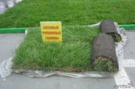 Фото Рулонный газон в Белорецке