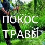 СКОС ТРАВЫ