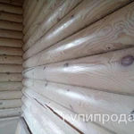 Фото №3 Шлифовка Конопатка Покраска-бруса сруба,домов,бань