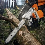 Фото №21 Выпил деревьев на участке с раскорчёвкой