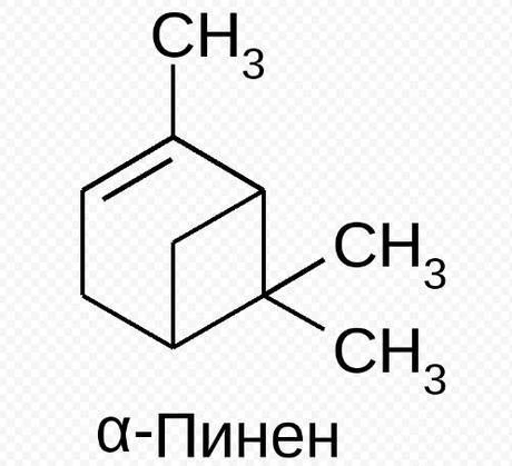 Фото Пинен