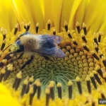 Фото №4 Фотограф для блога