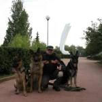 Фото №3 Дрессировка собак в Самаре