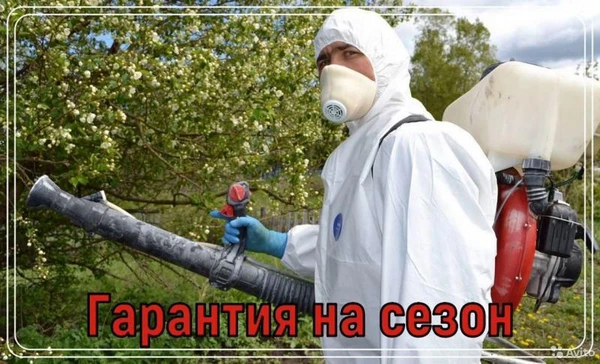 Фото Обработка от клещей,клопов,тараканов.Дезинсекция