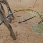 Фото №4 Бурение скважин