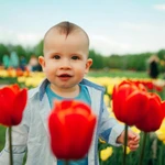 Фото №5 Фотограф и видеограф. Монтаж видео
