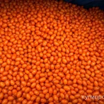 Фото №2 Замороженная ягода