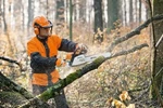 Фото №2 Спил деревьев,вывоз мусора,бурение,откачивание септиков,воды