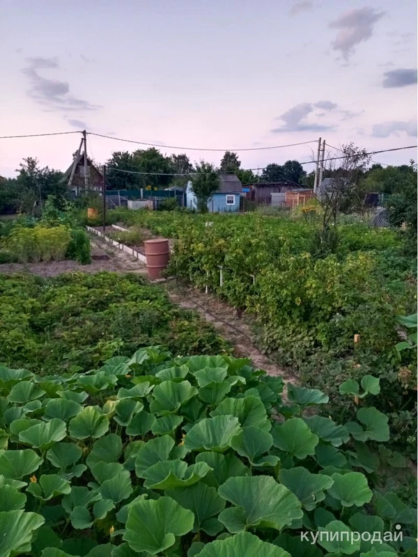 Фото Участок ЛПХ