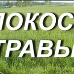 Покос травы тримером