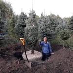 Фото №3 Требуется услуга манипулятора на смену