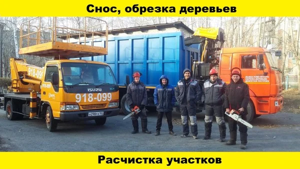 Фото Обрезка, спил деревьев