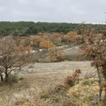 Лот 74839 Продается земельный участок 5 сот.