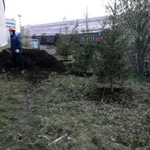 Фото №3 Грузчики Мурманск