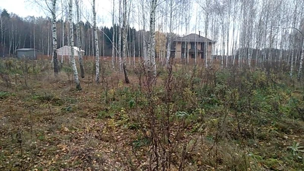Фото Покос высокой травы 