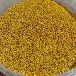 фото Пыльца пчелиная 2024