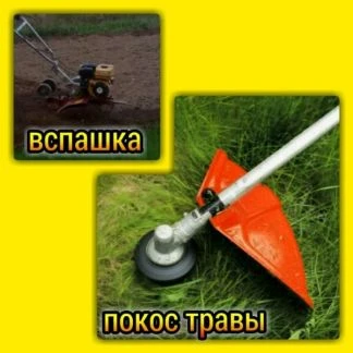 Фото Наведем порядок в вашем дворе и на участке