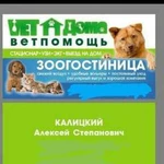 Ветеринарная помощь Посёлок северный(проспект Анат