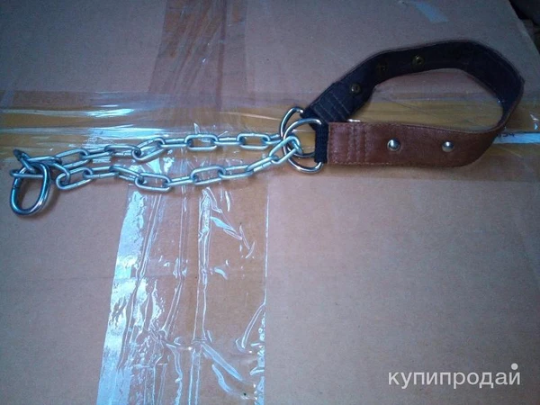 Фото ошейник строгий для средних собак